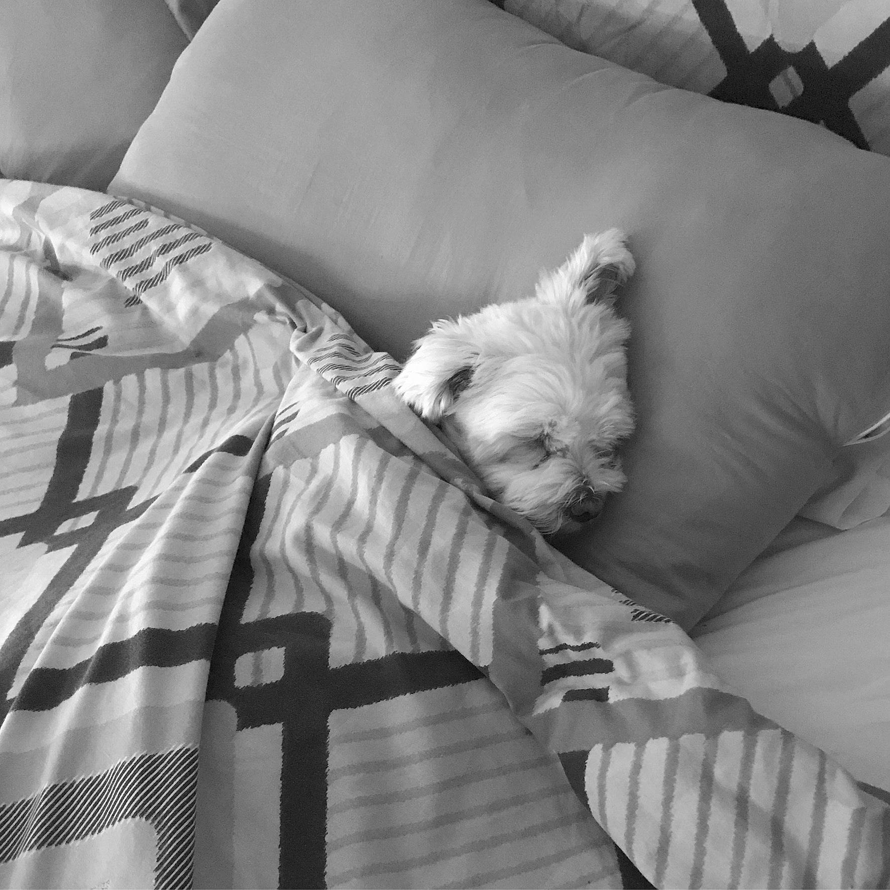 Roxi is registered to the contest to win money with this photo: