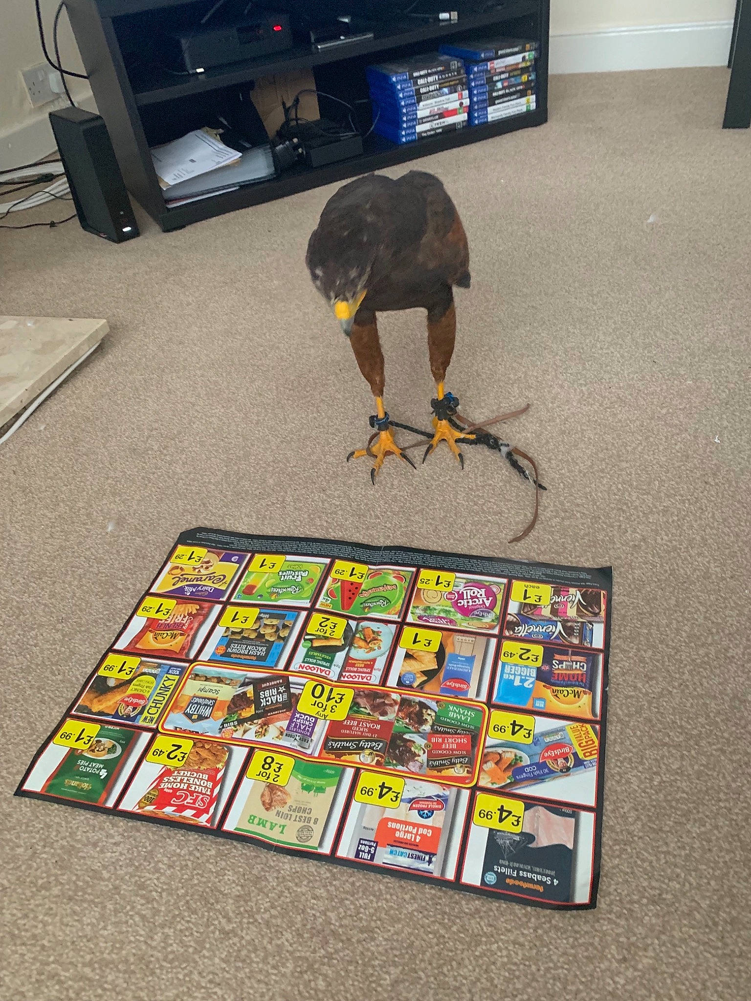 Bruce is registered to the contest to win money with this photo: electronic_device, fiction, floor, flooring, gadget, games, play, room, technology, video_game_accessory