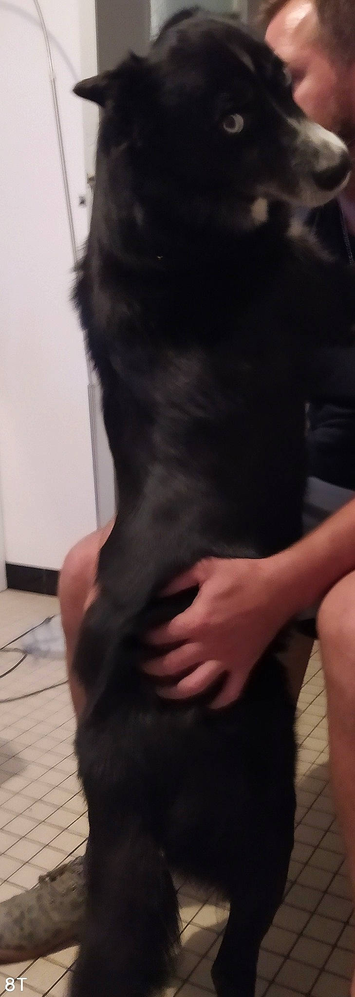 Flash participe au concours pour gagner de l'argent avec cette photo : abdomen, chest, elbow, foot, gesture, human_body, human_leg, jaw, knee, leg, nail, neck, shoulder, sleeve, thigh, thumb, trunk, waist, wood, wrist