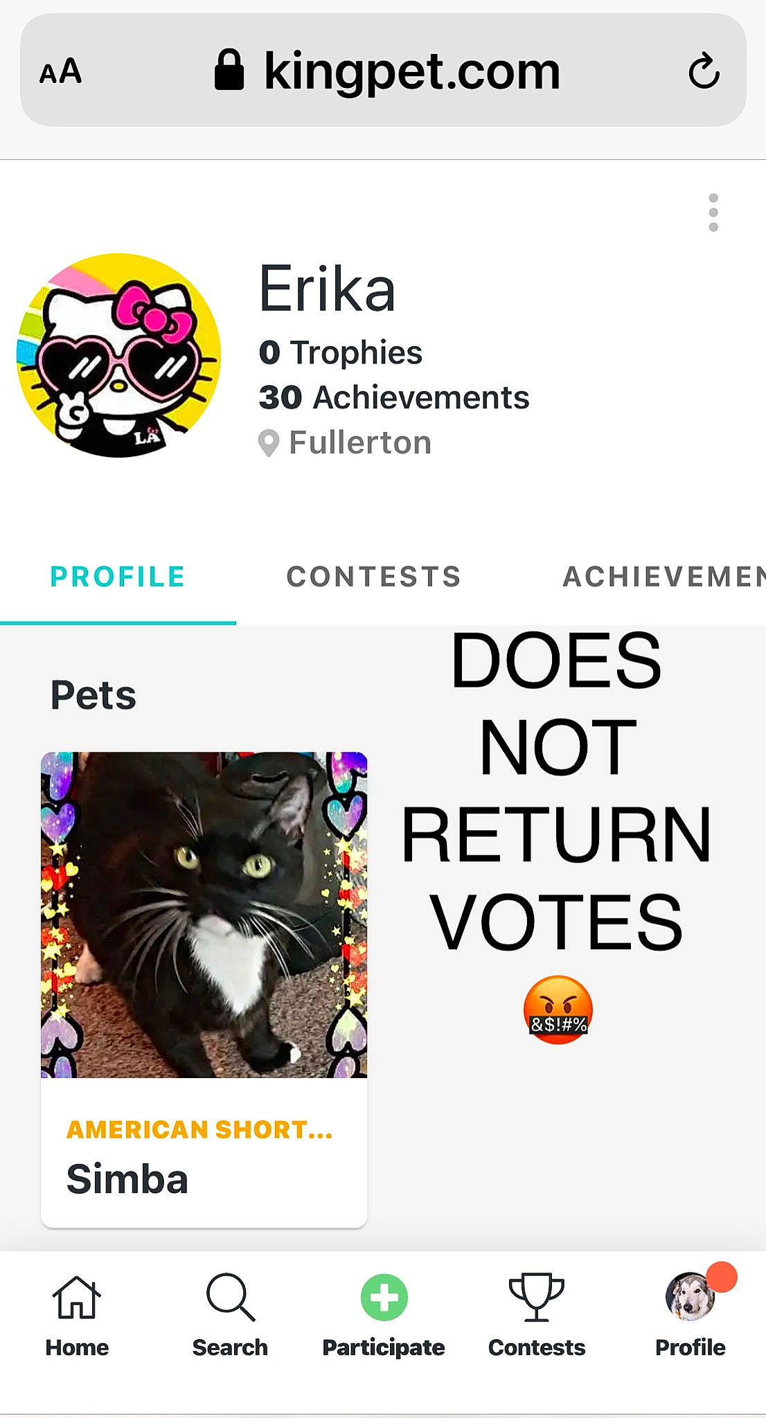 Timber joined the competition — help win amazing prizes! advertising, brand, carnivore, cat, felidae, font, graphic_design, graphics, logo, product, screenshot, small_to_medium_sized_cats, web_page, yellow