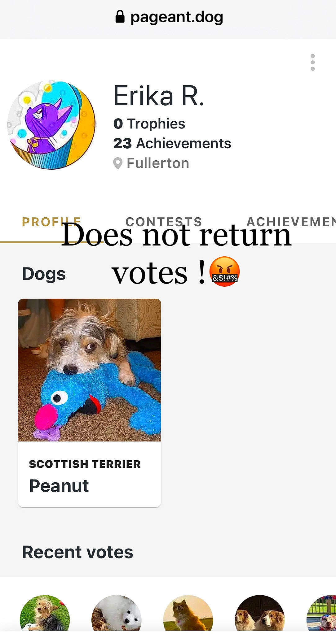 Timber is registered to the contest to win money with this photo: advertising, canidae, carnivore, circle, companion_dog, dog, dog_breed, dog_supply, font, paw, pet_supply, photo_caption, poster, sporting_group, terrier, toy_dog, water_dog, working_animal