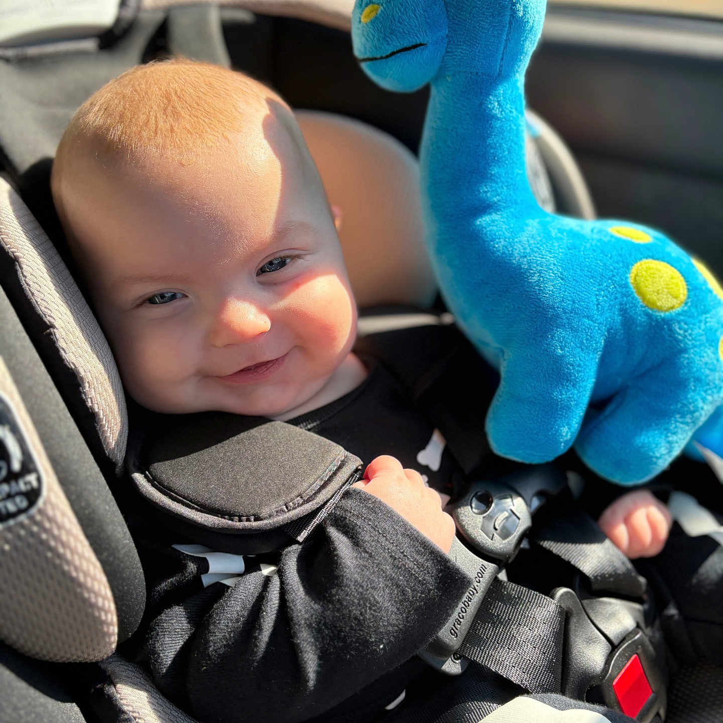 Rowan is registered to the contest to win money with this photo: baby, bodypart, car, car_interior, carseat, clothing, cushion, face, finger, glove, hand, head, homedecor, person, photography, plush, portrait, toy, transportation, vehicle