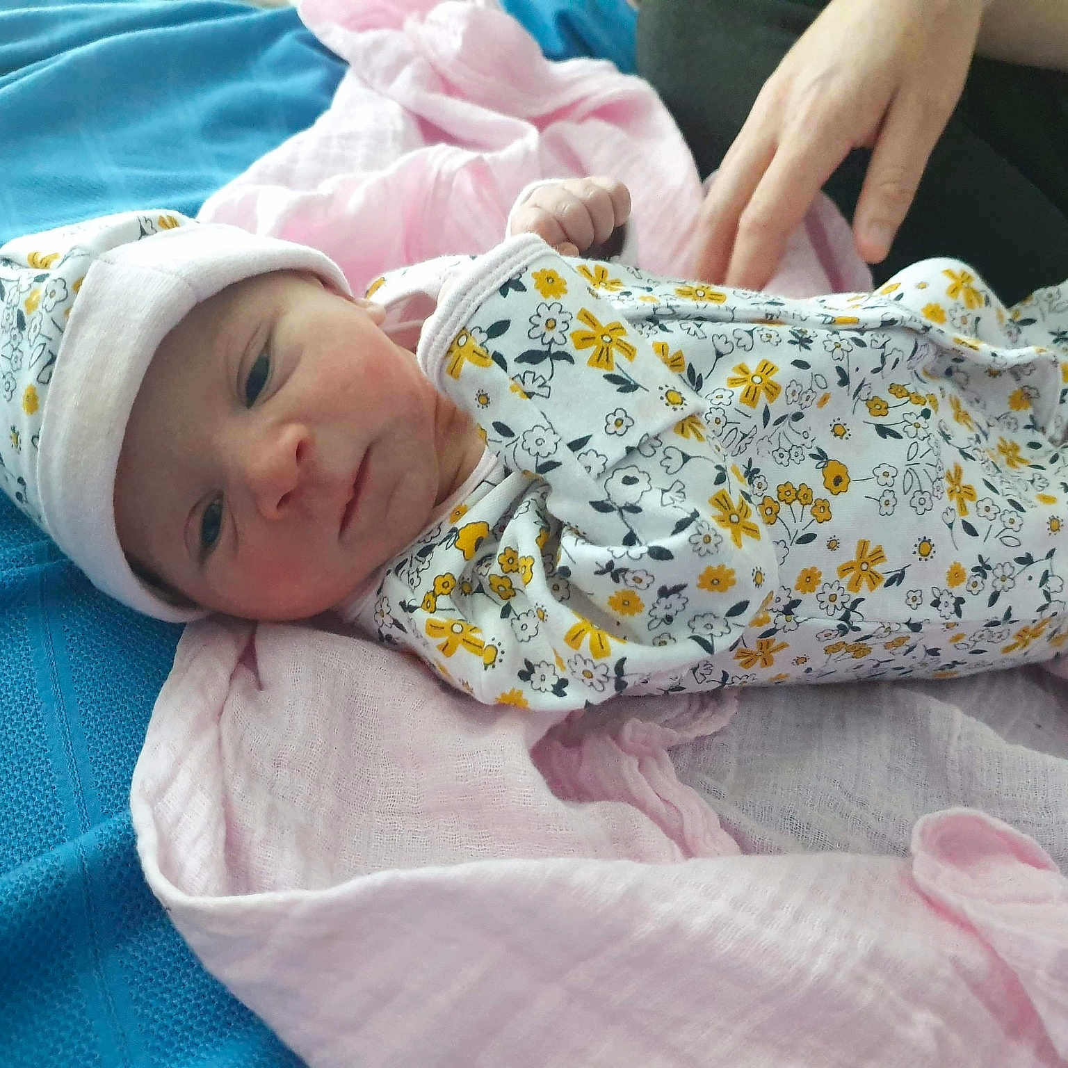 Addison