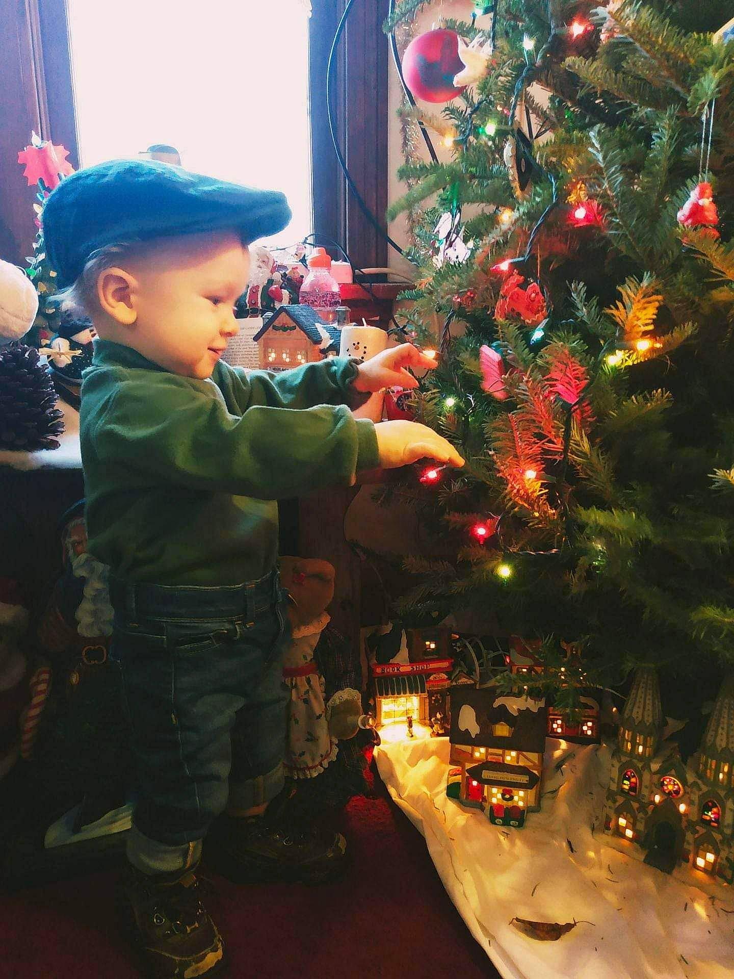 Brent is registered to the contest to win money with this photo: christmas, christmas_decoration, christmas_eve, christmas_ornament, christmas_tree, conifer, event, evergreen, fun, happy, holiday, holiday_ornament, leaf, ornament, person, plant, standing, toddler, tradition, tree
