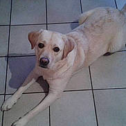 Heilia participe au concours pour gagner de l'argent avec cette photo :