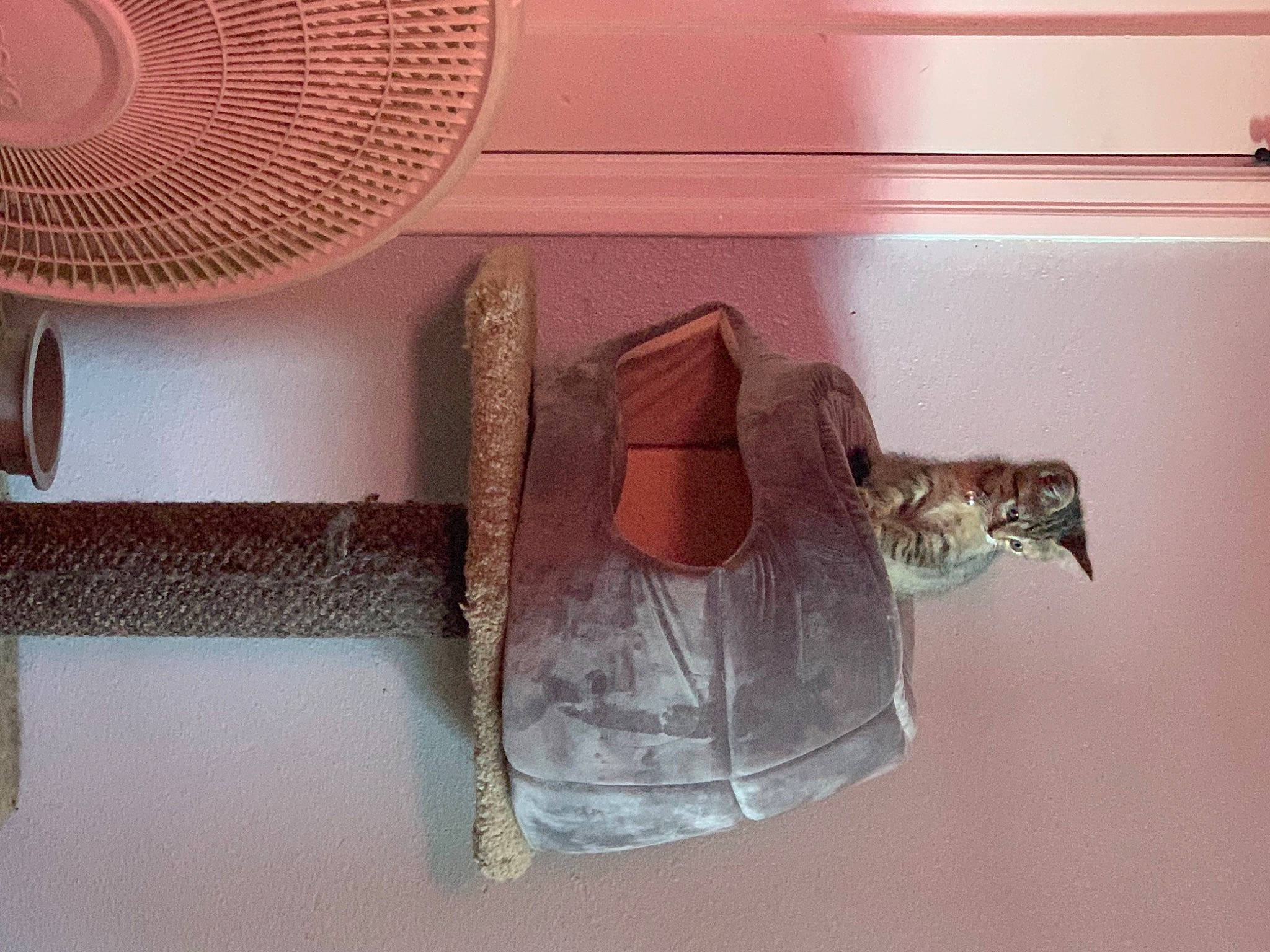 Willow is registered to the contest to win money with this photo: ceiling, furniture, house, interior_design, room, shelf, shoe, table