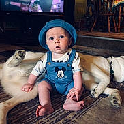 Isaac is registered to the contest to win money with this photo: animal, baby, blue_clothing, carpet, cartoon, child, curtains, cute, dog, floor, furniture, hat, home, indoor, living_room, mickey_mouse, person, pet, television, wooden_chair