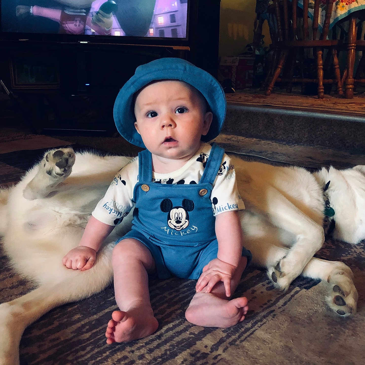 Isaac is registered to the contest to win money with this photo: animal, baby, blue_clothing, carpet, cartoon, child, curtains, cute, dog, floor, furniture, hat, home, indoor, living_room, mickey_mouse, person, pet, television, wooden_chair