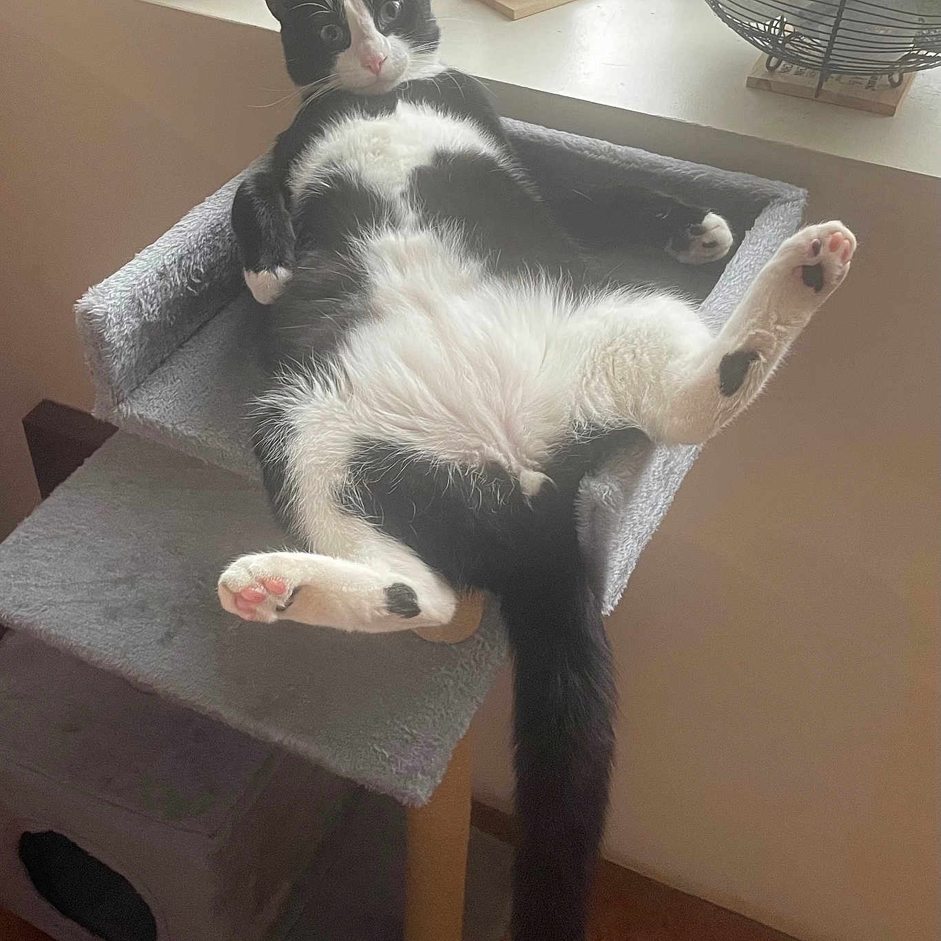 Sleepy
