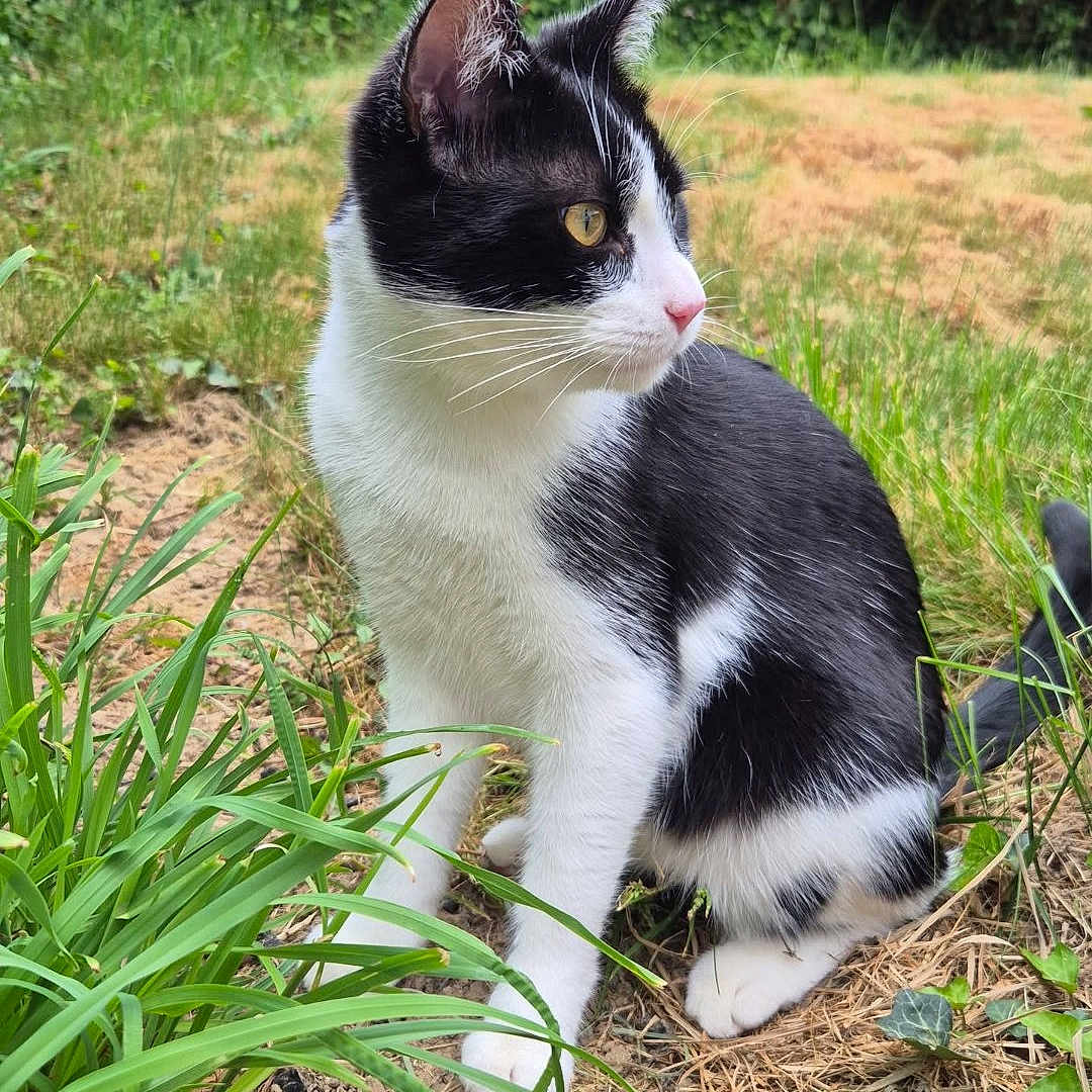 Willow a rejoint le concours — aidez-le/la à gagner de superbes lots !