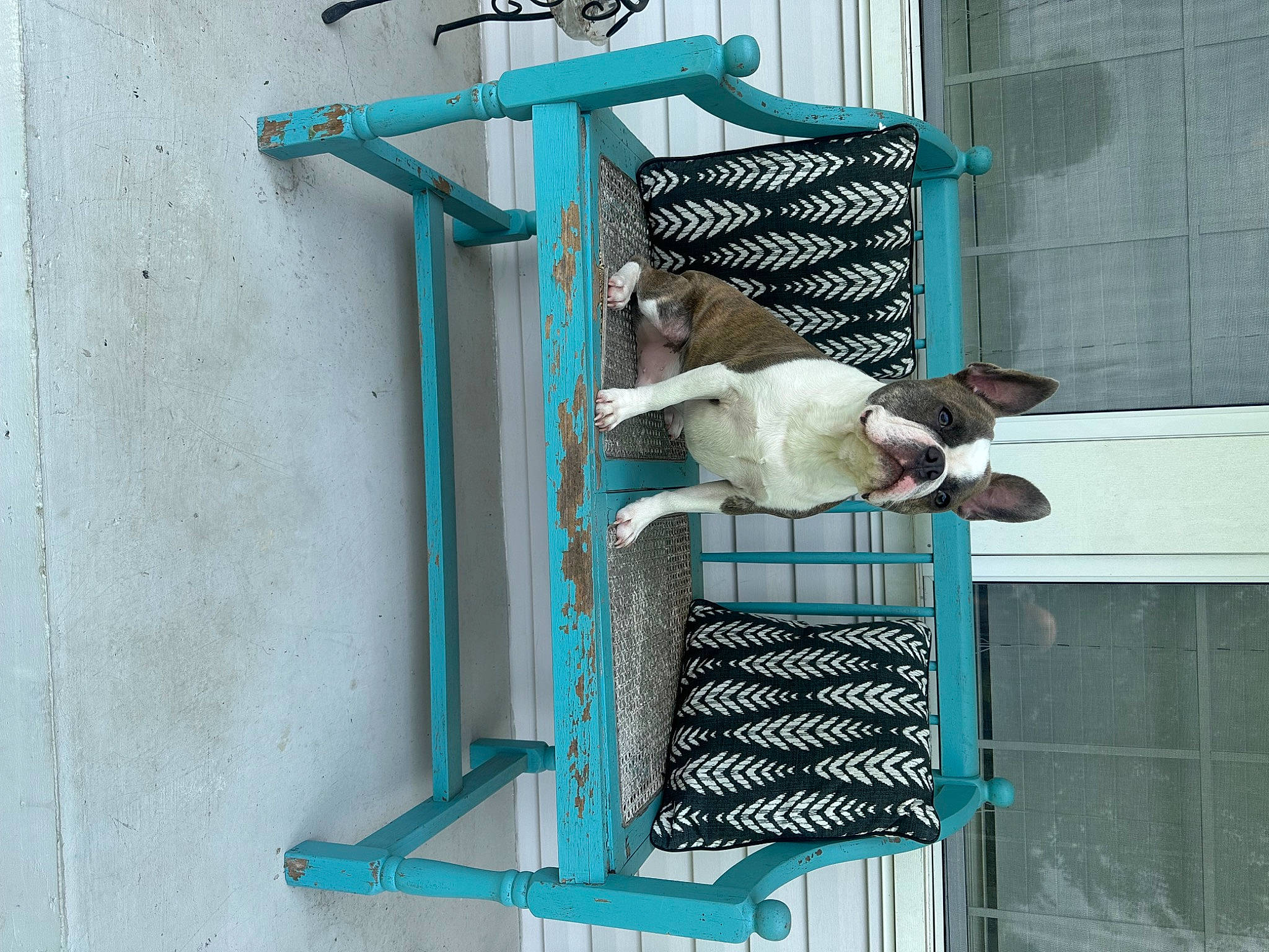 K J joined the competition — help win amazing prizes! art, building, carnivore, cross, dog, electric_blue, facade, line, machine, metal, pet_supply, rectangle, symbol, symmetry