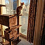 cat, cat_tree, indoor, sunlight, curtains, glass_door, window, tree, backyard, furniture, orange_cat, white_cat, pet, animal, daylight, shadow, floor, home, relaxing, domestic