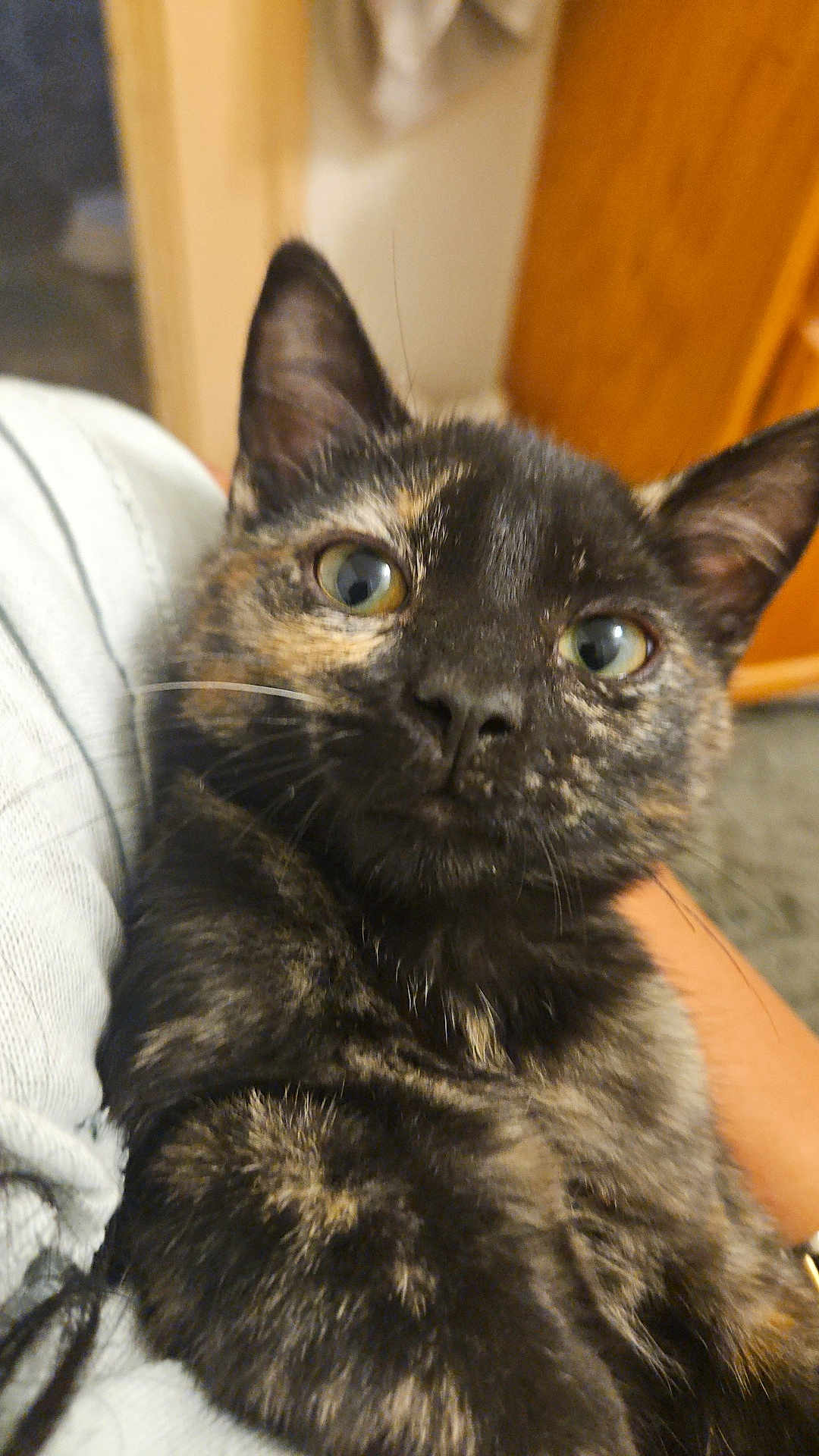 Elvira