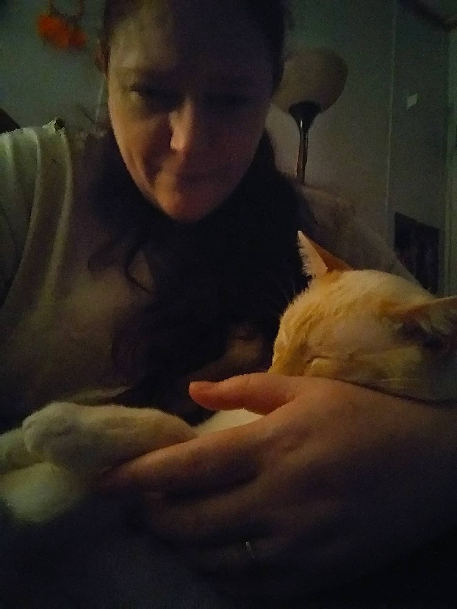 Love Love is registered to the contest to win money with this photo: canidae, child, cloud, ear, flesh, hand, human, muscle, non_sporting_group, person, puppy_love, sky