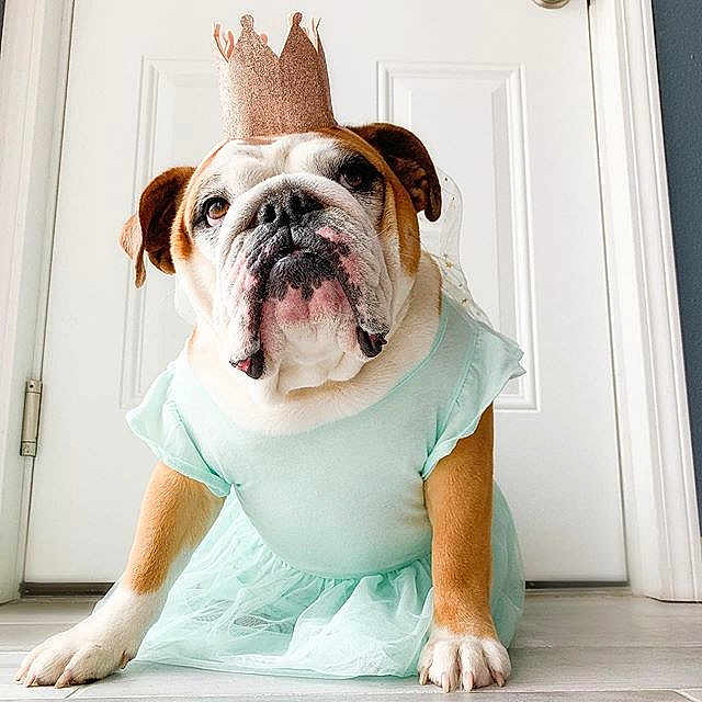 Mabel