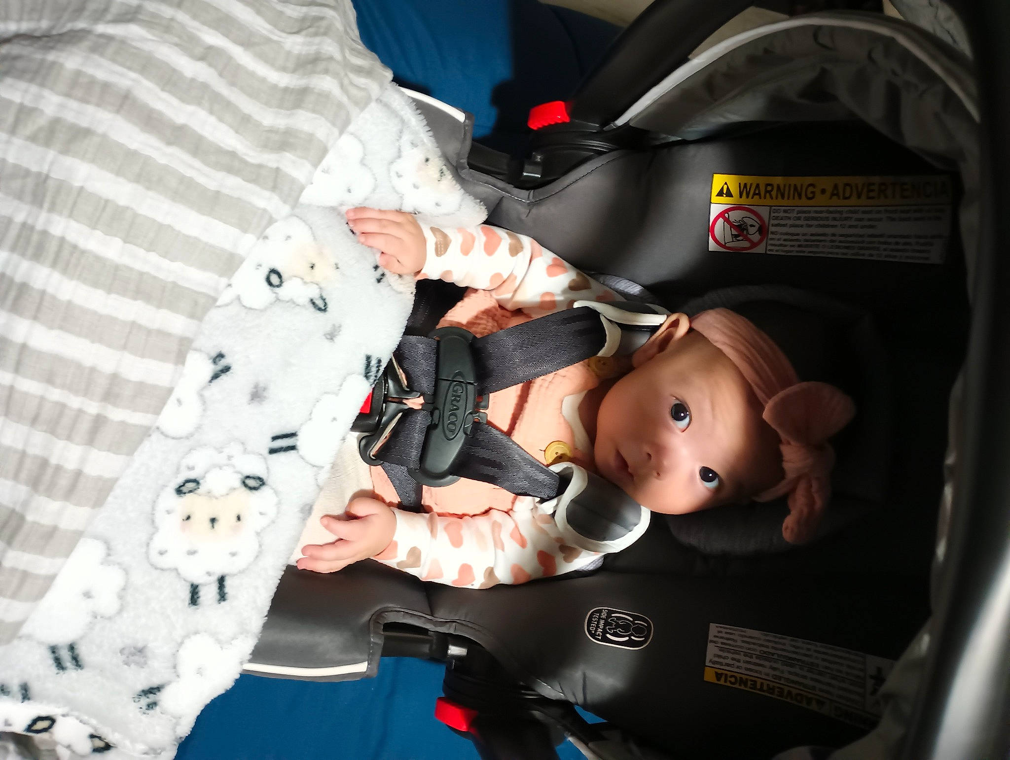 Emily is registered to the contest to win money with this photo: auto_part, baby, baby_carriage, baby_in_car_seat, baby_products, baby_toddler_clothing, car_seat, carmine, child, comfort, family_car, fictional_character, lap, pattern, person, personal_protective_equipment, service, stuffed_toy, toddler, toy