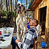 beverage, chair, companionship, dog, forest, glass, glasses, great_dane, man, mobile_phone, nature, outdoor, person, plaid_jacket, relaxation, sunny, table, trees, wood_floor, wooden_cabin