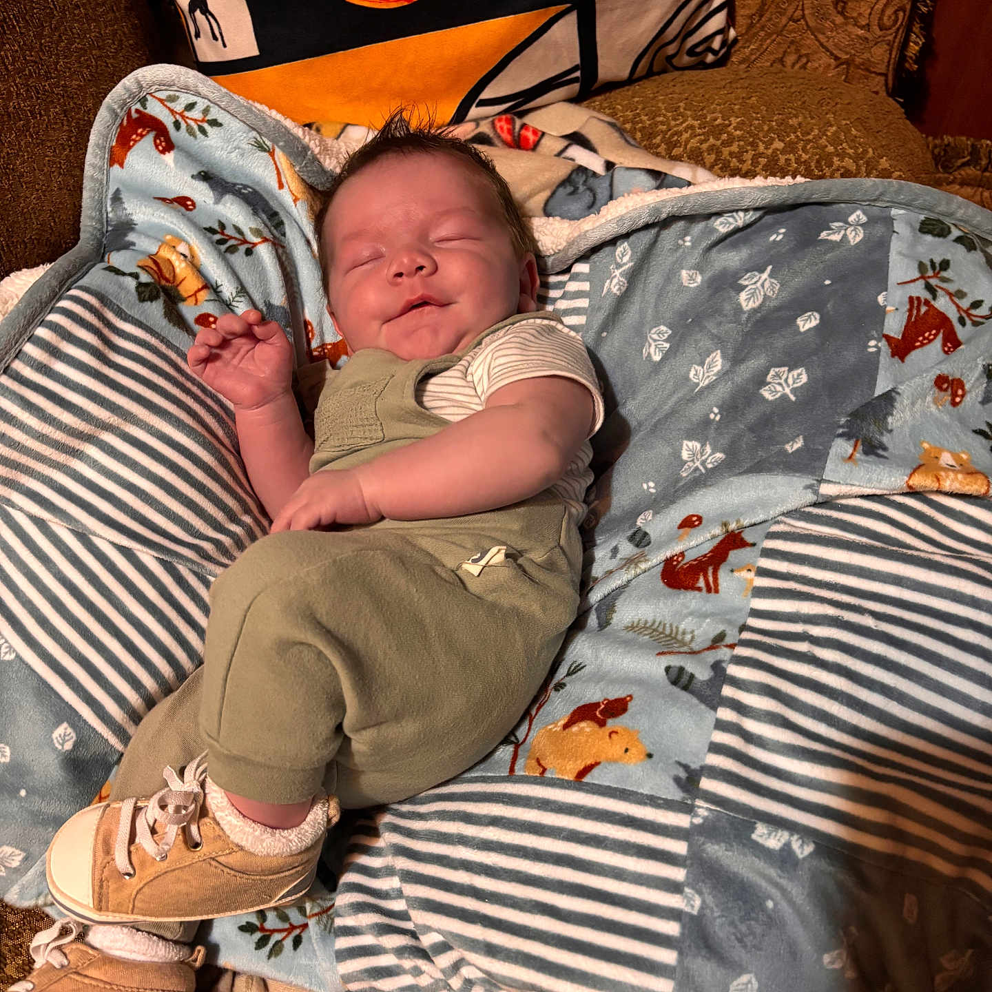 Raihen joined the competition — help win amazing prizes! baby, blanket, child, clothing, comfort, couch, cozy, cute, footwear, home, indoor, infant, patterned_blanket, peaceful, portrait, resting, shoes, sleeping, soft_lighting, woodland_animals