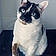 Olympe