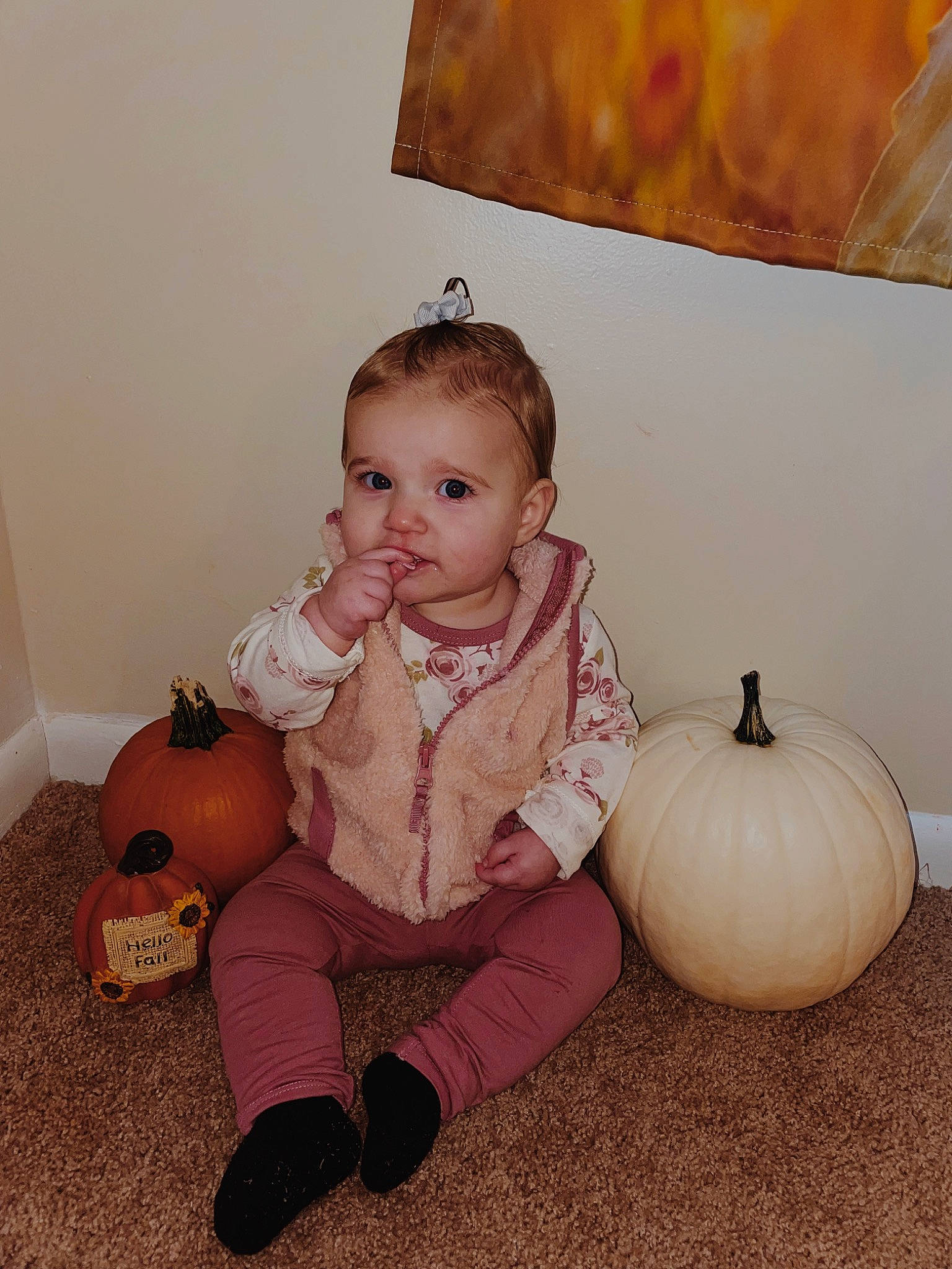 Maisley joined the competition — help win amazing prizes! baby, baby_toddler_clothing, calabaza, child, cucurbita, floor, flooring, fun, gourd, hairstyle, knee, person, plant, pumpkin, sitting, sock, squash, toddler, vegetable, winter_squash