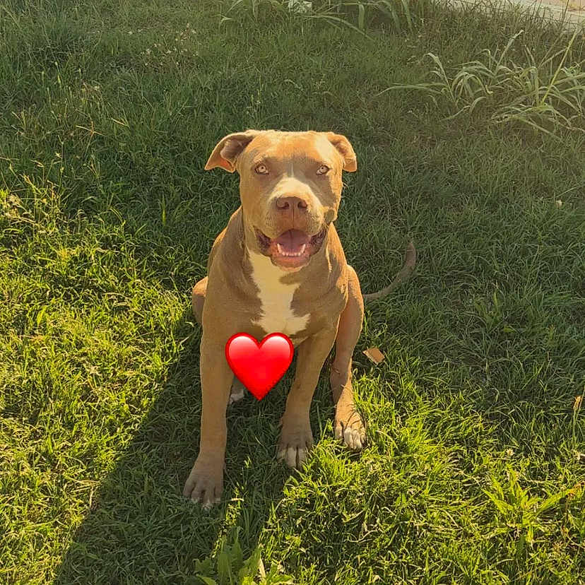 Pablo