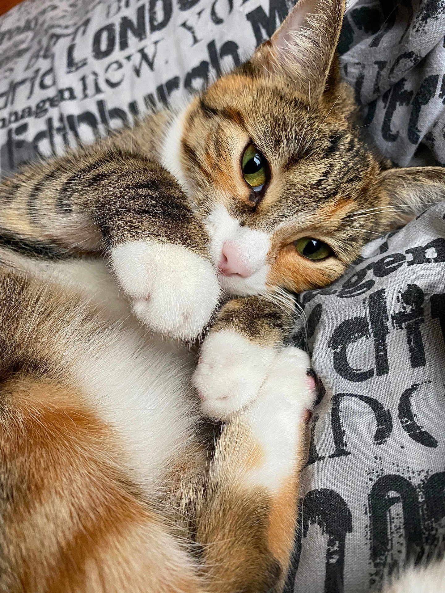 Bella