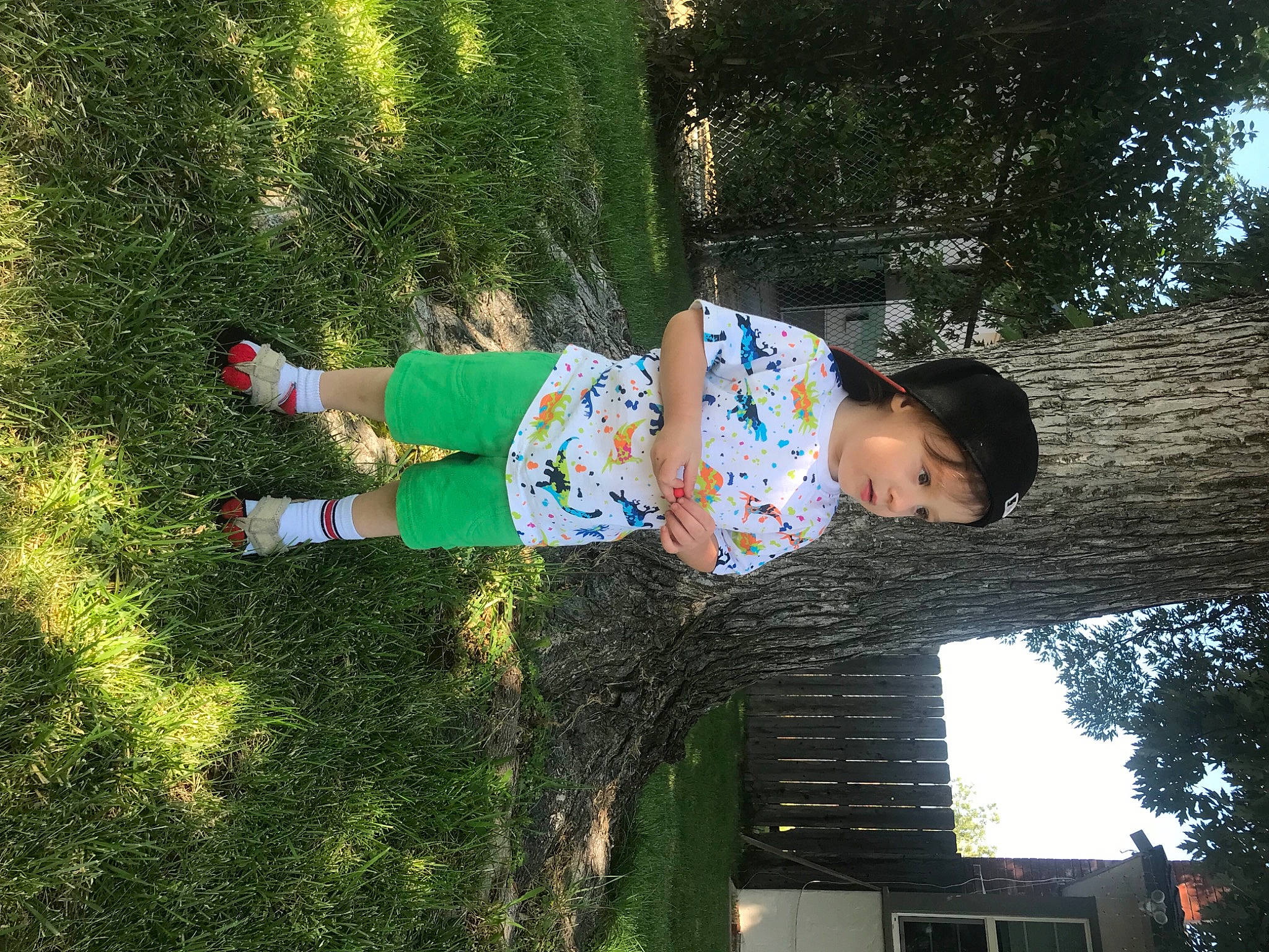 Axel is registered to the contest to win money with this photo: child, fun, grass, happy, leisure, people_in_nature, person, plant, play, recreation, shrub, spring, toddler, tree, trunk, window