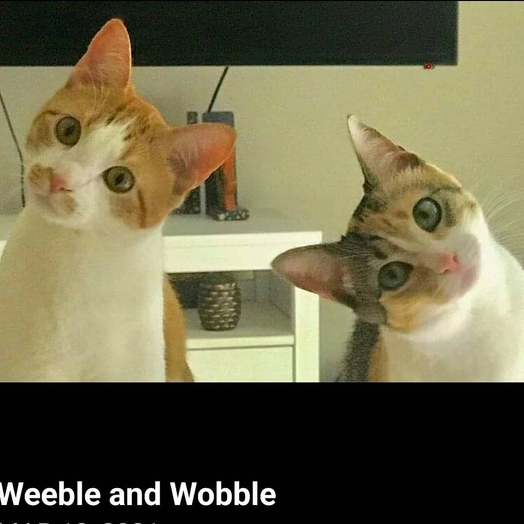 Weeble And Wobble