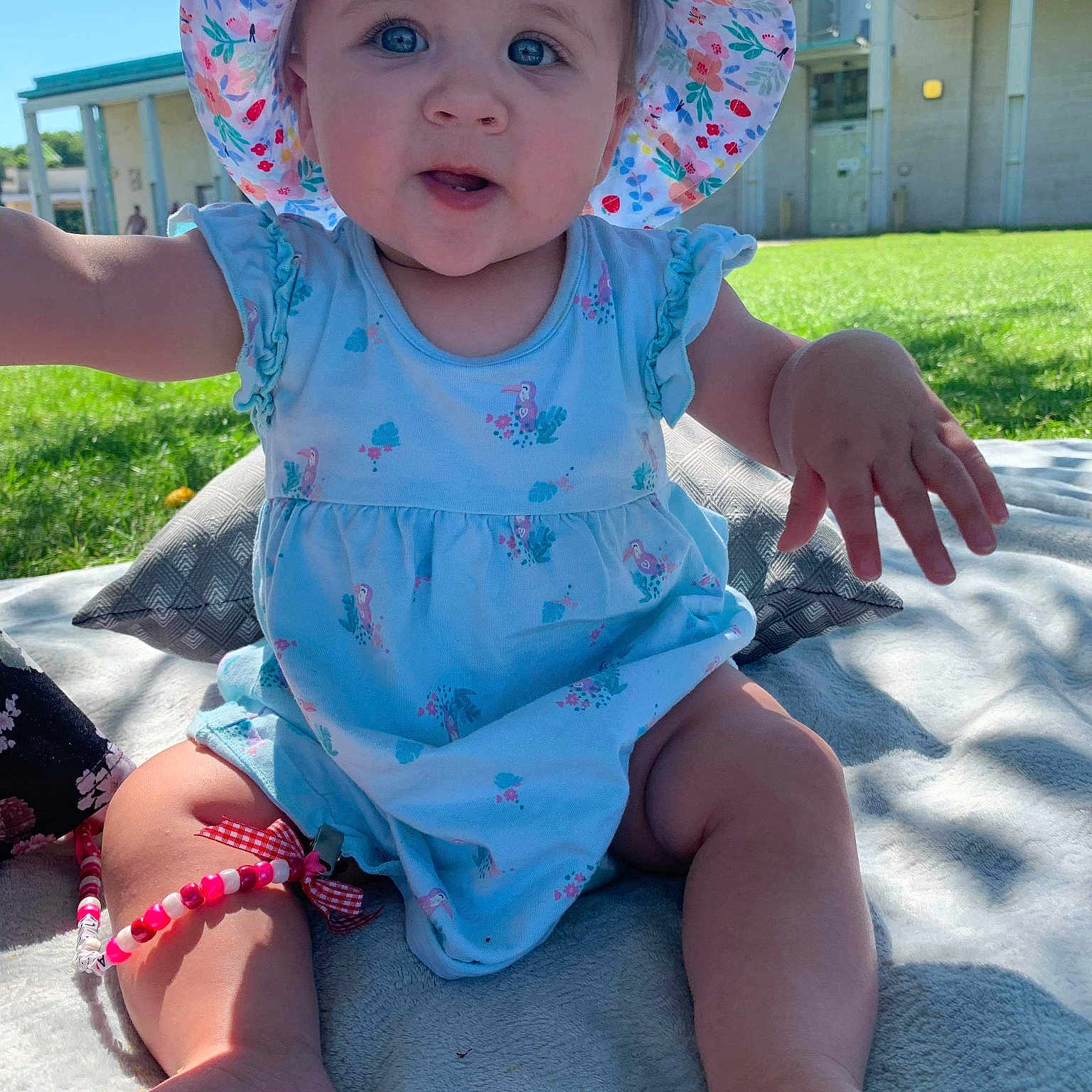 Amelia-lily