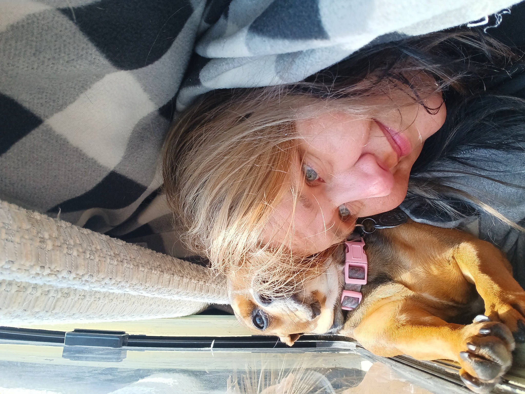 Kiip joined the competition — help win amazing prizes! automotive_exterior, automotive_lighting, automotive_window_part, canidae, carnivore, comfort, companion_dog, dog, dog_breed, eyewear, fawn, fur, glass, personal_luxury_car, sitting, snout, sporting_group, sunglasses, vehicle_door, windshield