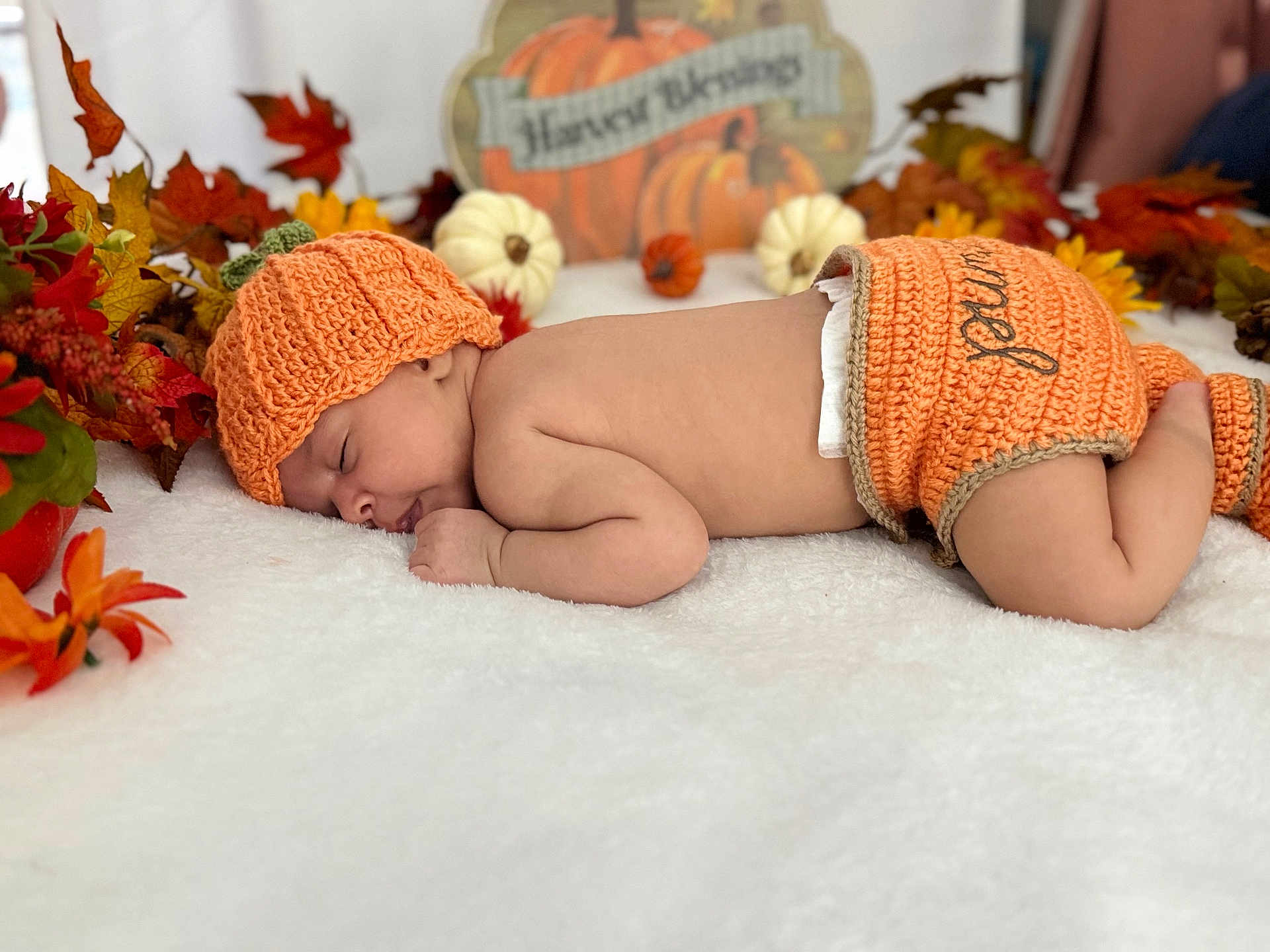 Alanna joined the competition — help win amazing prizes! autumn_leaves, baby, child, cozy, cute, fall_decor, festive, holiday, holiday_decor, infant, knit_hat, newborn, orange, portrait, pumpkin, resting, seasonal, sleeping, soft, white_blanket