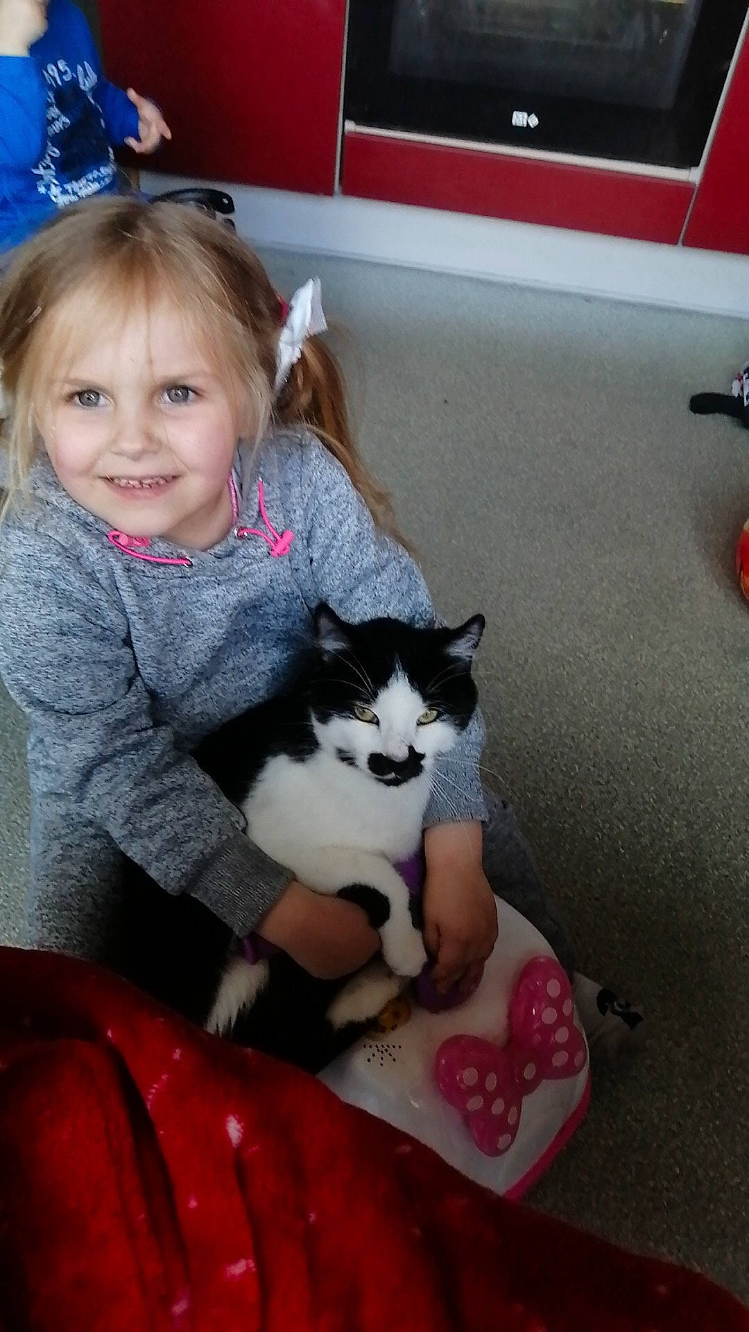 Belinda a rejoint le concours — aidez-le/la à gagner de superbes lots ! carnivore, cat, companion_dog, domestic_short_haired_cat, eye, felidae, fun, fur, hand, happy, human_body, human_leg, iris, joy, lap, person, sitting, small_to_medium_sized_cats, smile, thigh