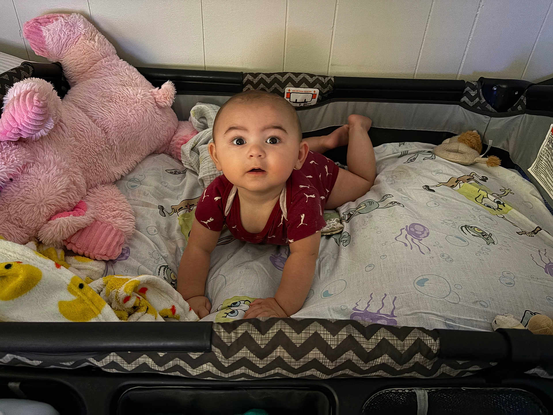 Elliot joined the competition — help win amazing prizes! baby, infant, playpen, onesie, stuffed_animal, blanket, tummy_time, curious, indoor, child, cute, expression, soft_toys, colorful, cushioned, face, head, skin, person, young