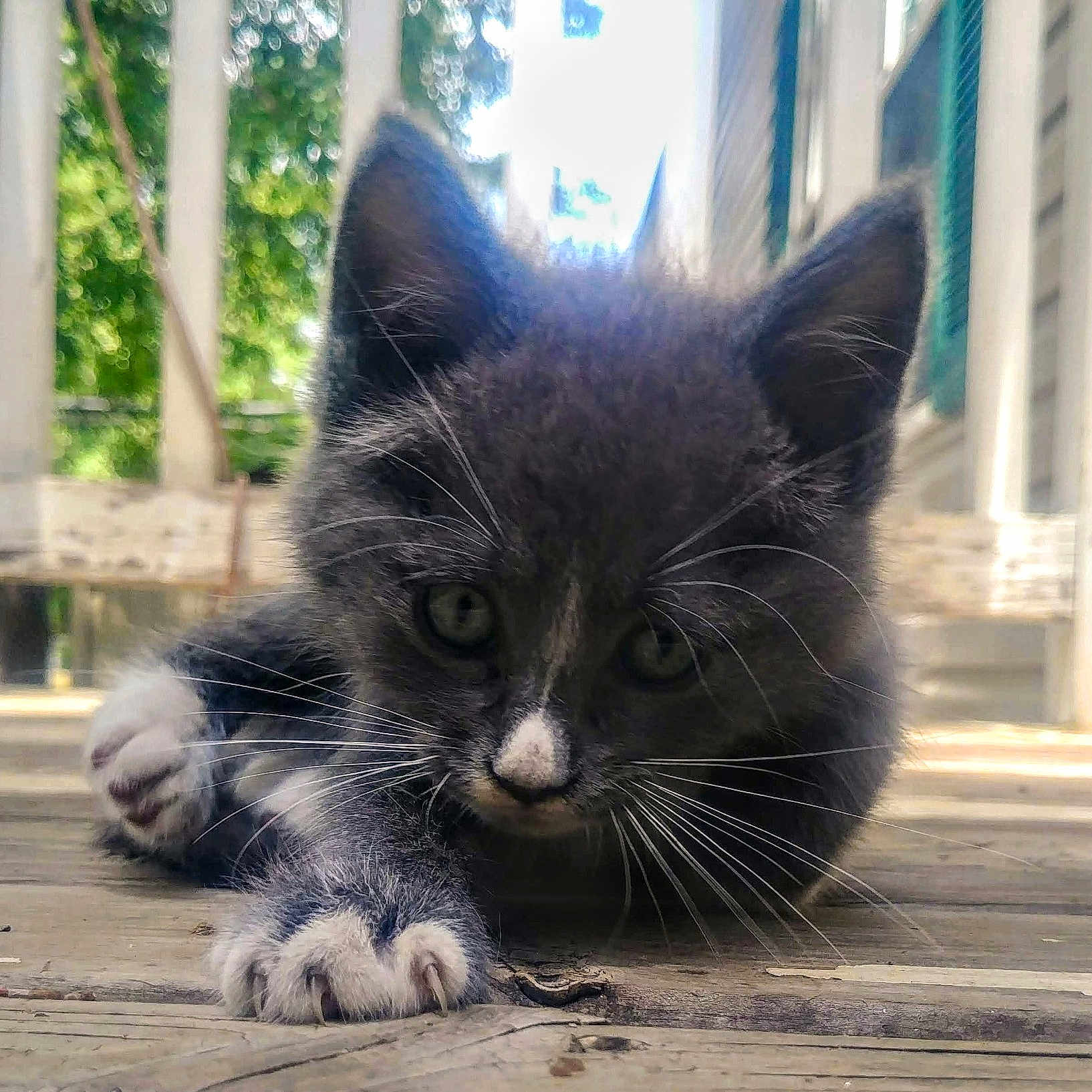 Mittens