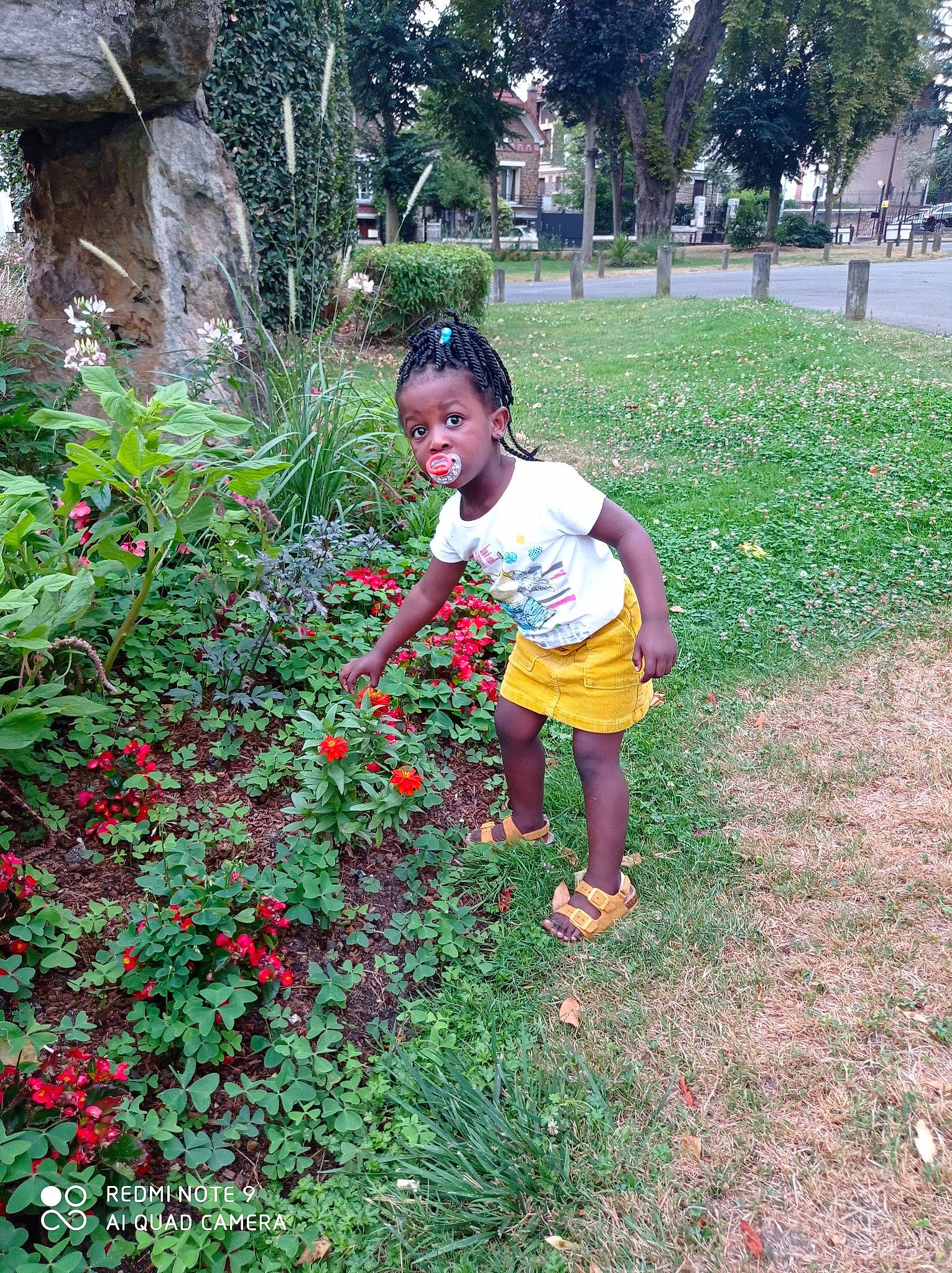 Emna participe au concours pour gagner de l'argent avec cette photo : adaptation, annual_plant, botany, flower, garden, gardening, grass, groundcover, person, plant, shrub, wildflower, yard