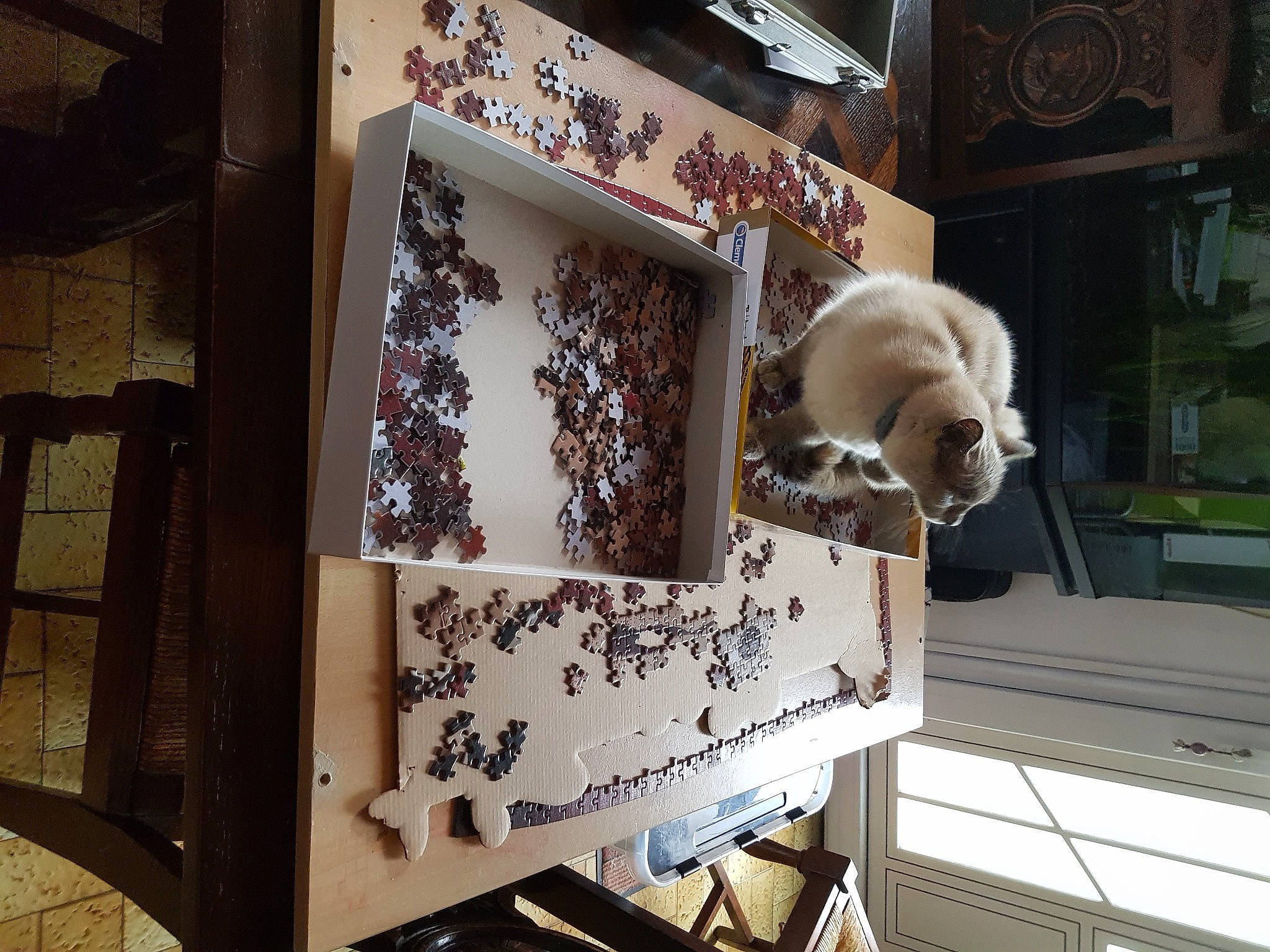 Paillettes participe au concours pour gagner de l'argent avec cette photo : art, building, collection, display_case, event, fur, hardwood, house, interior_design, metal, ornament, room, shelf, shelving, visual_arts, window, winter, wood