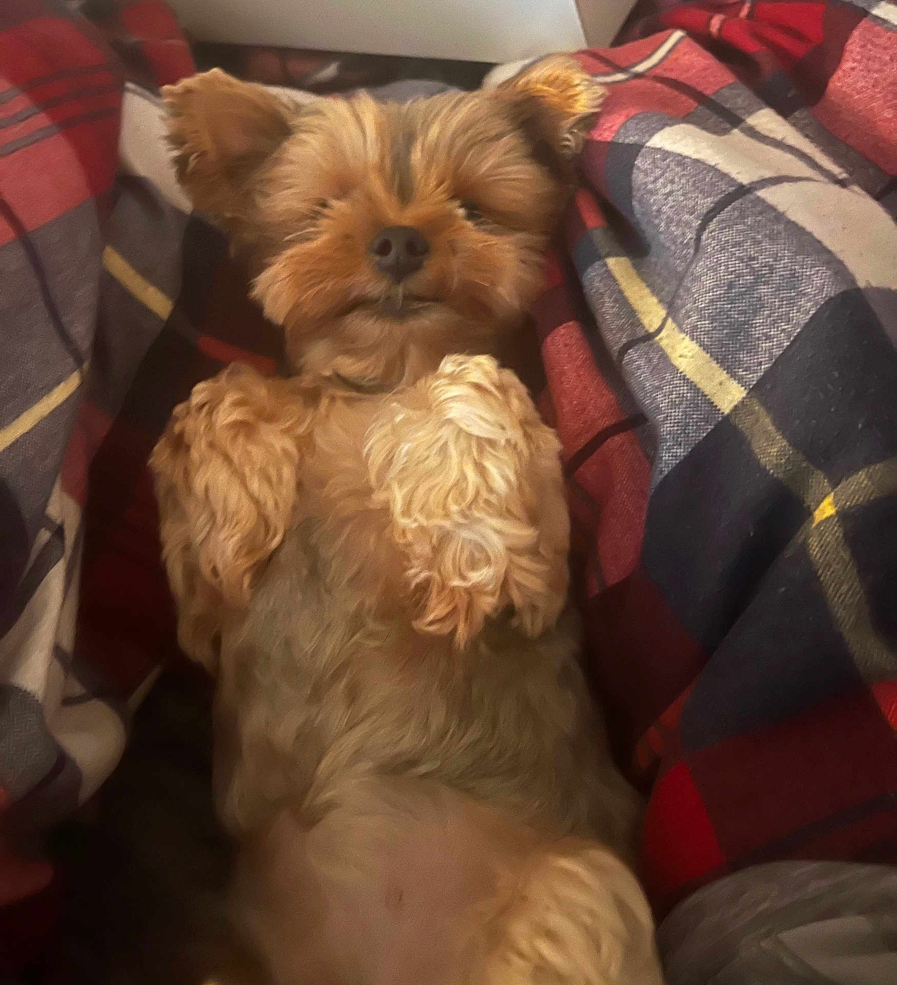 Kiki