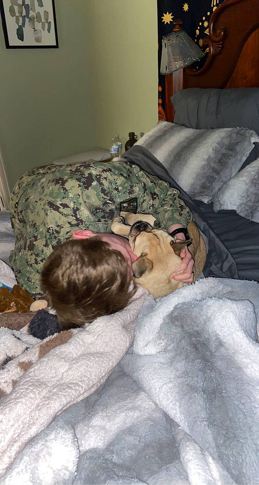 Eggsy joined the competition — help win amazing prizes! bed, bed_sheet, bedding, bedroom, blanket, comfort, flooring, fur, linens, living_room, military_camouflage, nap, pillow, room, sleep, textile