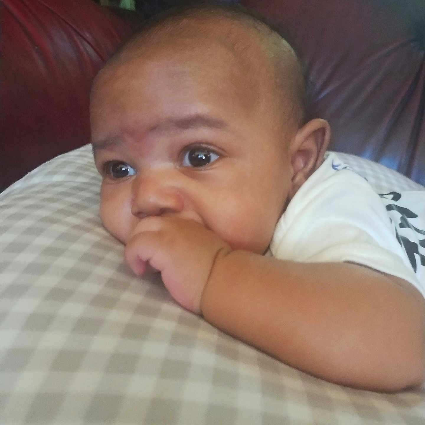 Sir' Gio joined the competition — help win amazing prizes! baby, infant, thumb_sucking, pillow, checkered_pattern, face, eyes, skin, hand, clothing, white_shirt, couch, leather, indoor, plant, background, closeup, portrait, child, resting