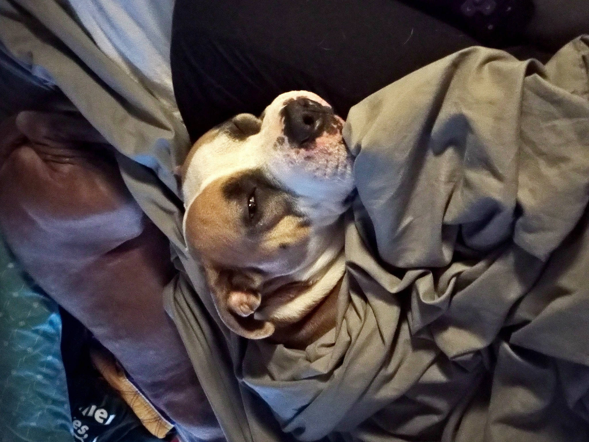 Mercy Lynne is registered to the contest to win money with this photo: comfort, darkness, linens