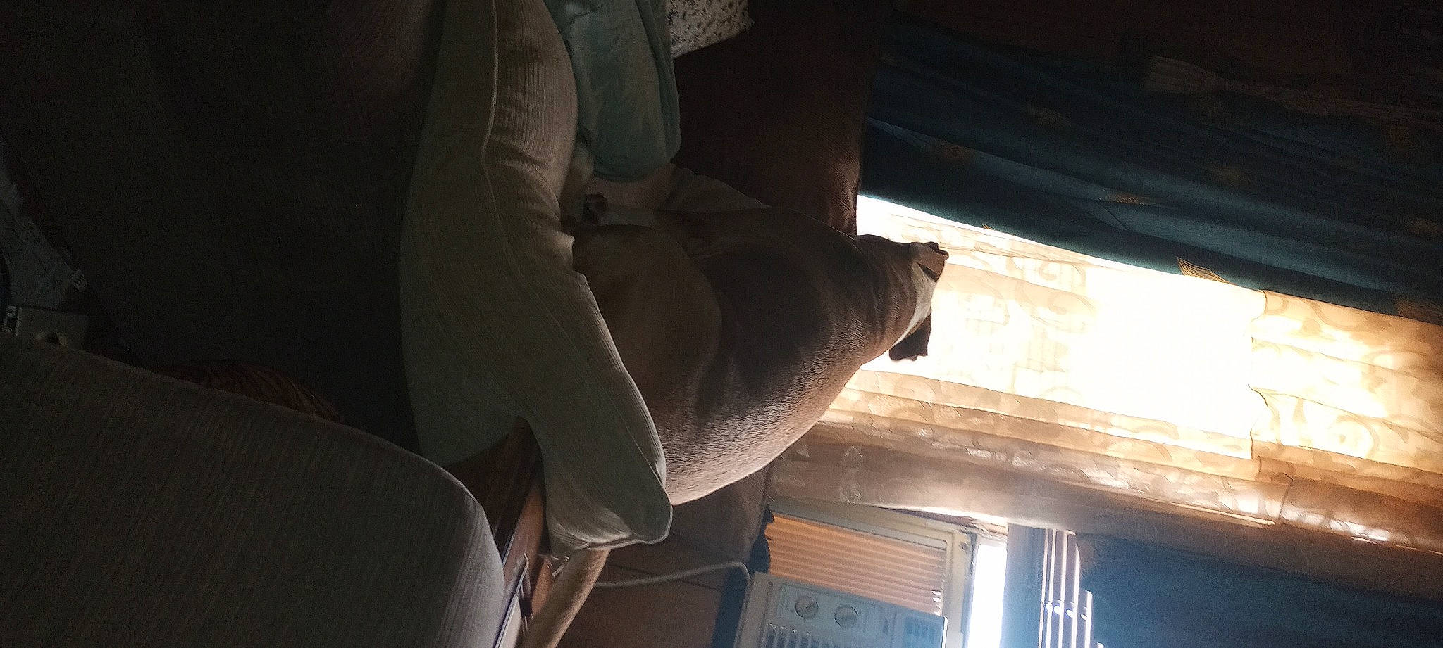 Mercy Lynne joined the competition — help win amazing prizes! art, auto_part, automotive_exterior, ceiling, darkness, daylighting, elbow, flooring, hardwood, human_leg, room, sculpture, tints_and_shades, vehicle_door, window, wood