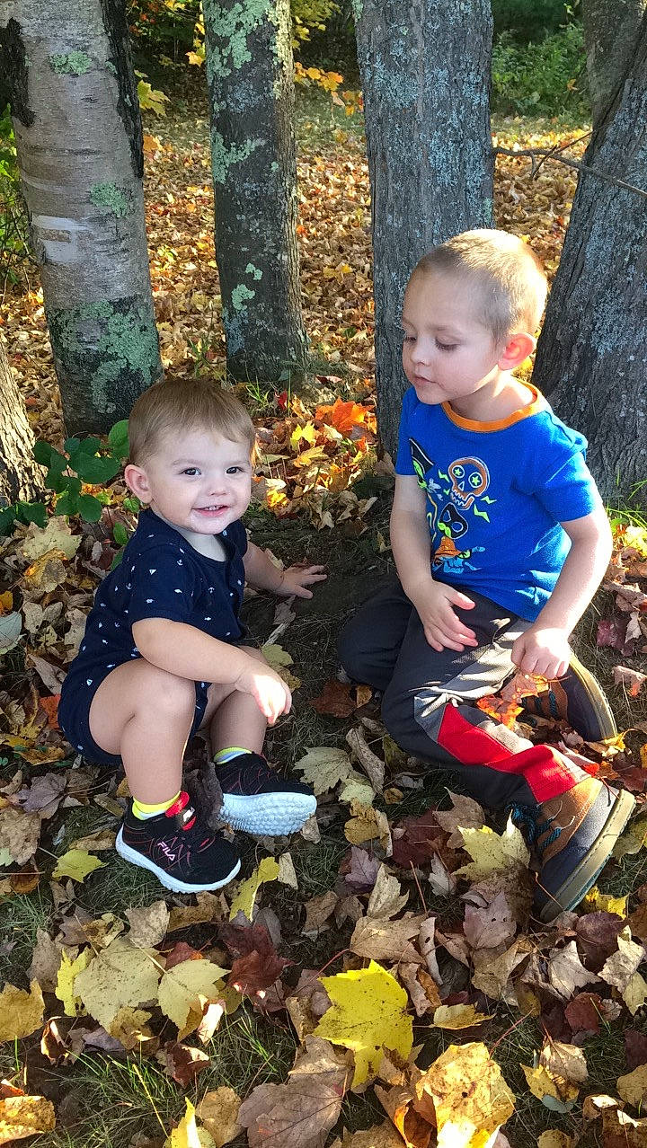 Trevor is registered to the contest to win money with this photo: autumn, child, fun, garden, girl, grass, joy, leaf, person, plant, play, recreation, toddler, tree, vacation
