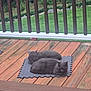 cat, cats, grey_cat, feline, pet, wooden_deck, porch, railing, vertical_bars, grass, lawn, foam_mat, sleeping, loaf_pose, resting, pair, outdoor, backyard, fur, calm