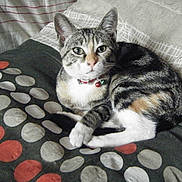 Hinna a rejoint le concours — aidez-le/la à gagner de superbes lots !