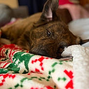 Chase is registered to the contest to win money with this photo:
