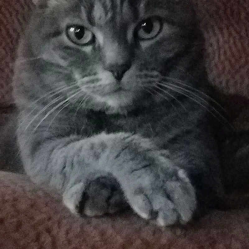 Smokey