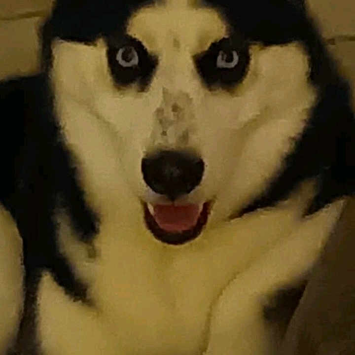 Leah