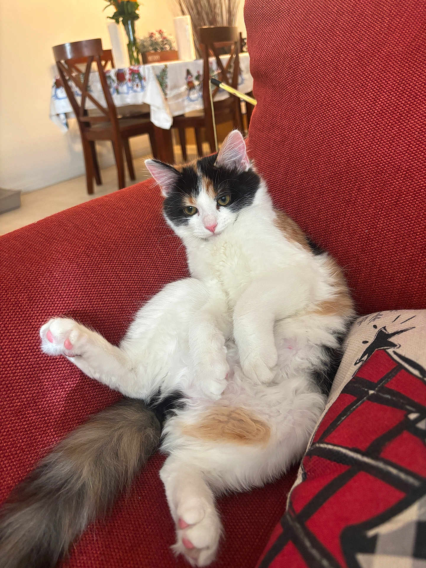 Naya
