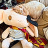 Winston is registered to the contest to win money with this photo: sphynx_cat, cat, stuffed_toy, plush, gryffindor_tie, couch, blanket, christmas_tree, holiday_decor, family_photo, indoor, pet, nap, furniture, home, decor, cozy, sleeping, soft_toy, animal