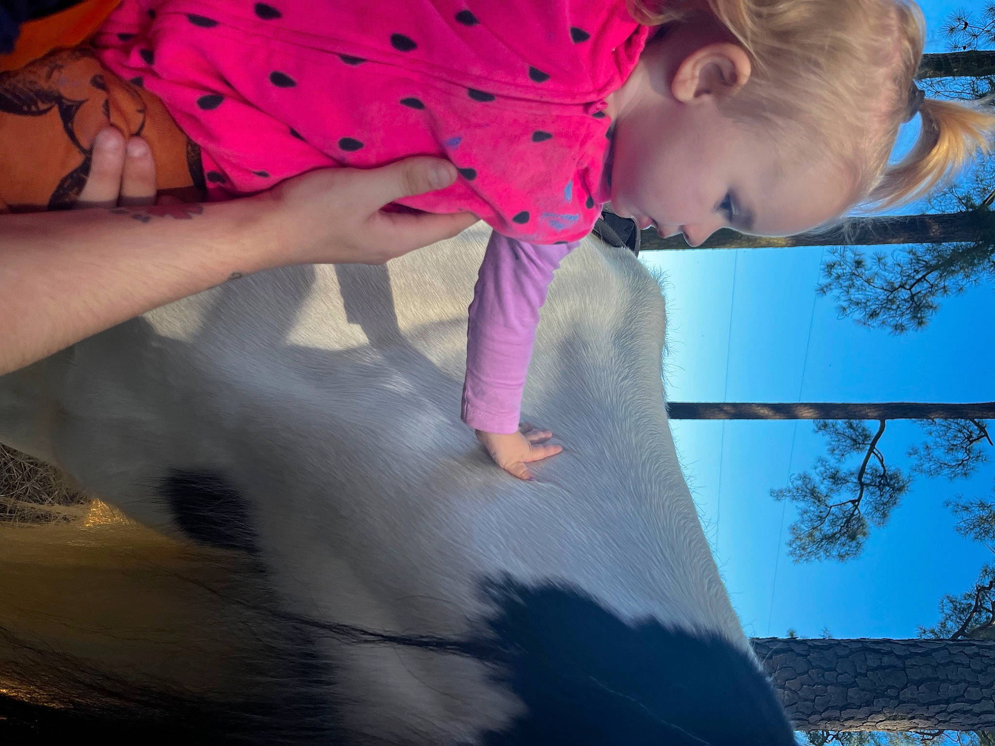 Kora is registered to the contest to win money with this photo: blue, child, elbow, finger, fun, gesture, happy, human_body, light, morning, people_in_nature, person, photograph, pink, sleeve, summer, sunlight, thigh, tints_and_shades, toddler